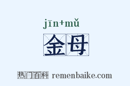 金母是什么意思的图片